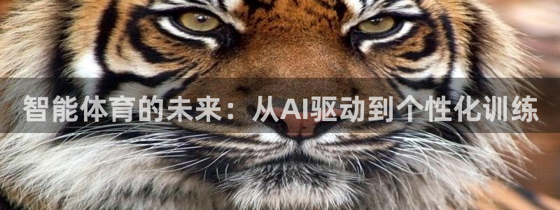 智能体育的未来：从AI驱动到个性化训练