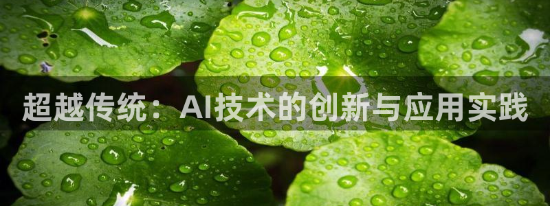 超越传统：AI技术的创新与应用实践