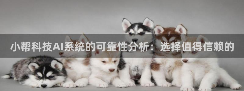 小帮科技AI系统的可靠性分析：选择值得信赖的