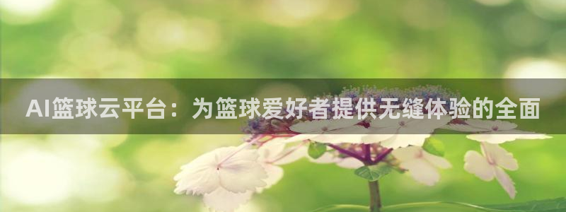 AI篮球云平台：为篮球爱好者提供无缝体验的全面