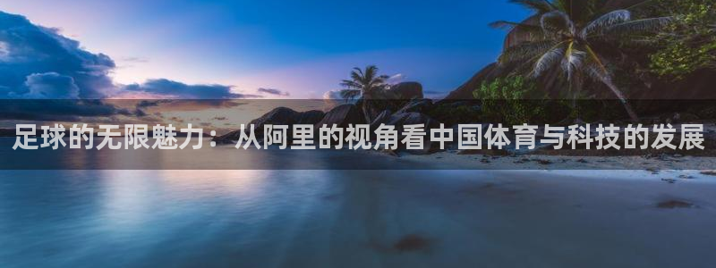 足球的无限魅力：从阿里的视角看中国体育与科技的发展