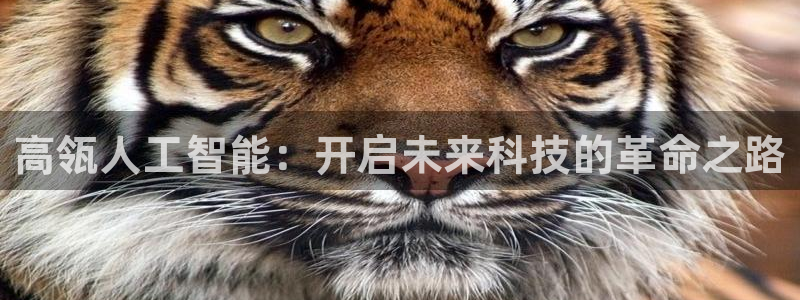 高瓴人工智能：开启未来科技的革命之路