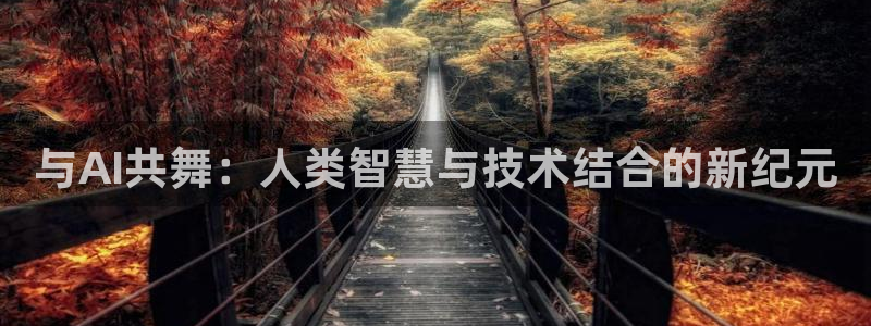 与AI共舞：人类智慧与技术结合的新纪元