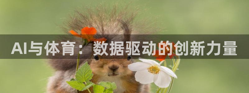 AI与体育：数据驱动的创新力量