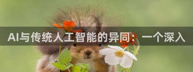 AI与传统人工智能的异同：一个深入