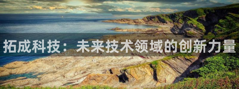 拓成科技：未来技术领域的创新力量