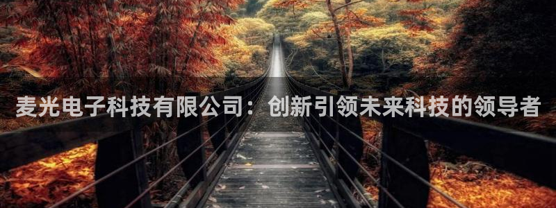 麦光电子科技有限公司：创新引领未来科技的领导者