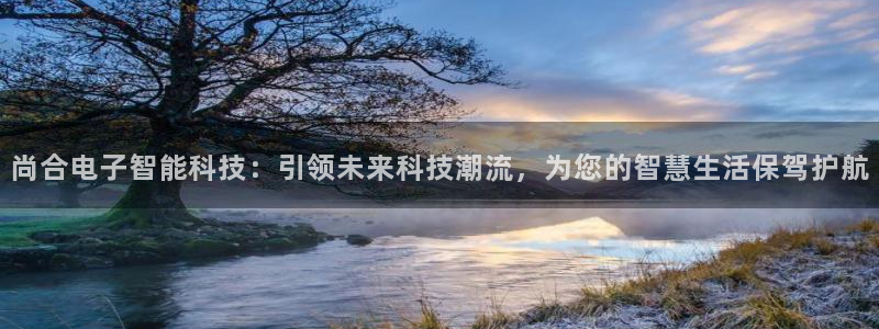 尚合电子智能科技：引领未来科技潮流，为您的智慧生活保驾护航