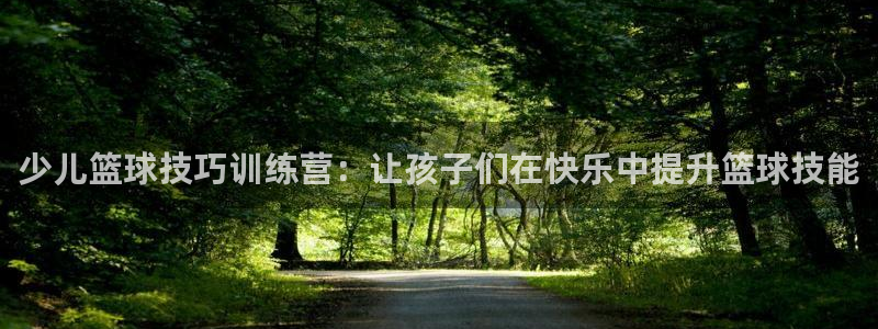 少儿篮球技巧训练营：让孩子们在快乐中提升篮球技能