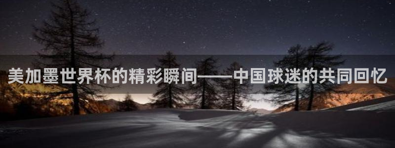 美加墨世界杯的精彩瞬间——中国球迷的共同回忆