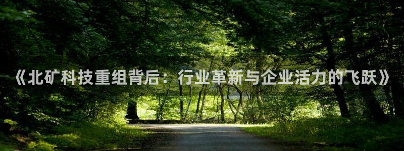 《北矿科技重组背后：行业革新与企业活力的飞跃》