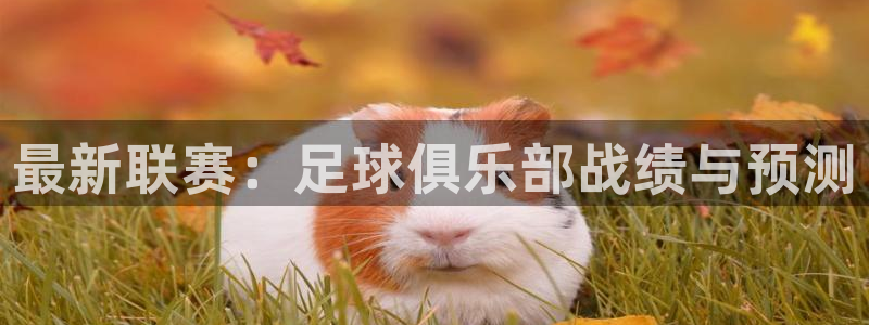 最新联赛：足球俱乐部战绩与预测