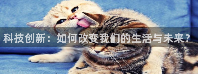 科技创新：如何改变我们的生活与未来？