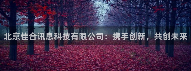 北京佳合讯息科技有限公司：携手创新，共创未来