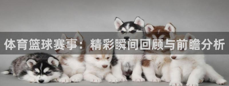体育篮球赛事：精彩瞬间回顾与前瞻分析