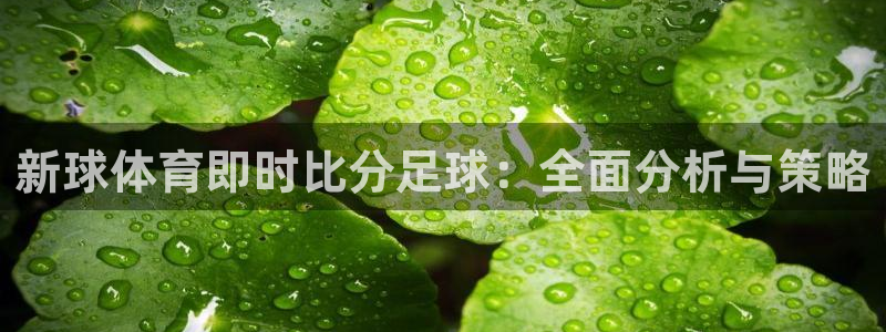 新球体育即时比分足球：全面分析与策略
