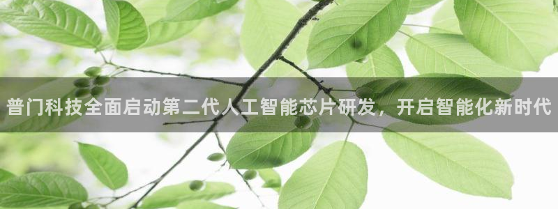 普门科技全面启动第二代人工智能芯片研发，开启智能化新时代