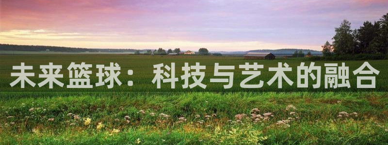 未来篮球：科技与艺术的融合