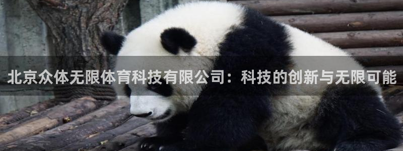 北京众体无限体育科技有限公司：科技的创新与无限可能