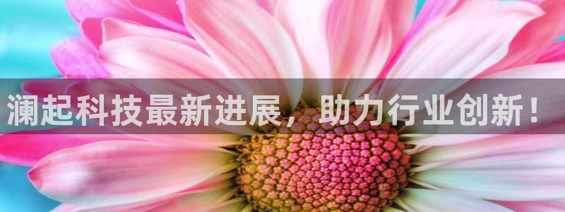 澜起科技最新进展，助力行业创新！