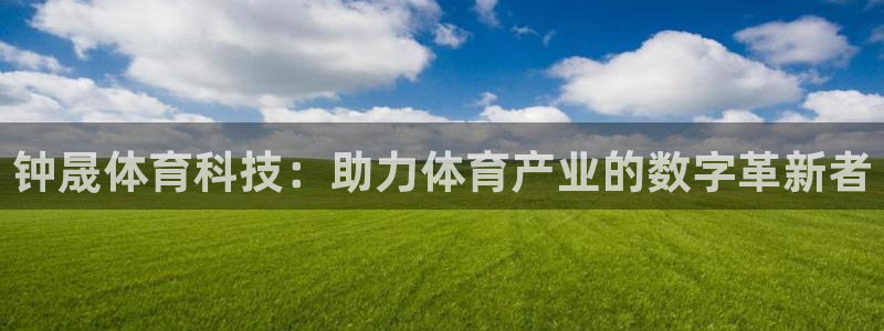 钟晟体育科技：助力体育产业的数字革新者