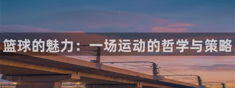 篮球的魅力：一场运动的哲学与策略