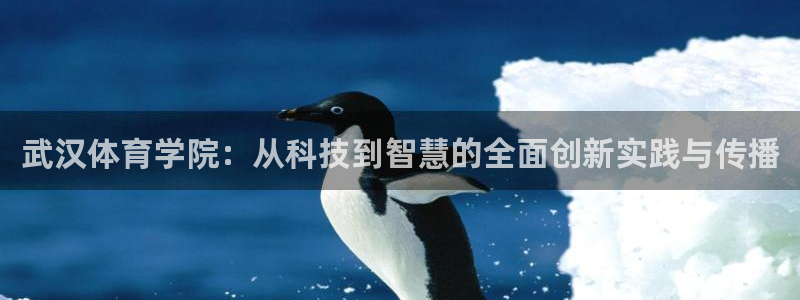 武汉体育学院：从科技到智慧的全面创新实践与传播