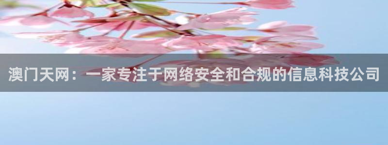 澳门天网：一家专注于网络安全和合规的信息科技公司
