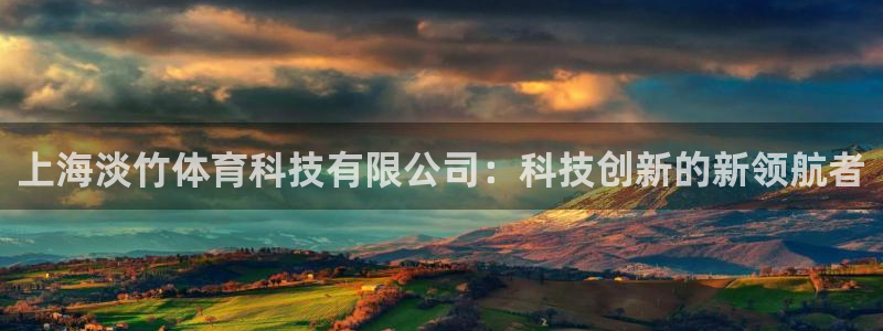 上海淡竹体育科技有限公司：科技创新的新领航者