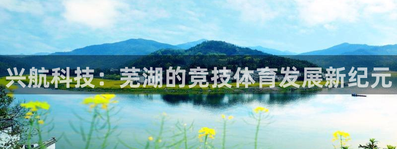兴航科技：芜湖的竞技体育发展新纪元