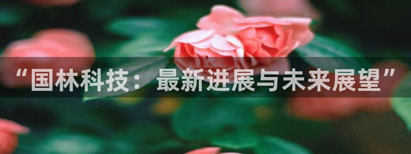 “国林科技：最新进展与未来展望”