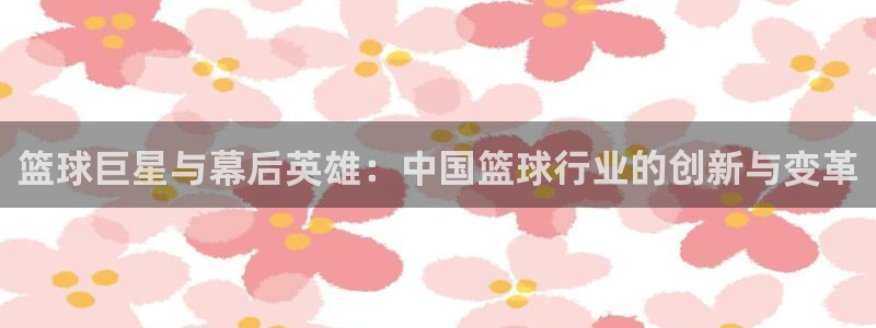 篮球巨星与幕后英雄：中国篮球行业的创新与变革