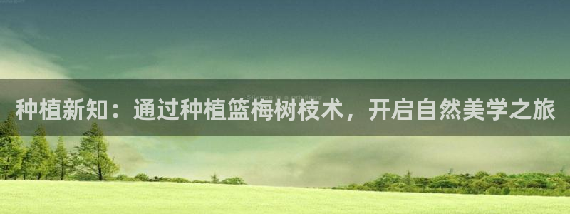 种植新知：通过种植篮梅树枝术，开启自然美学之旅
