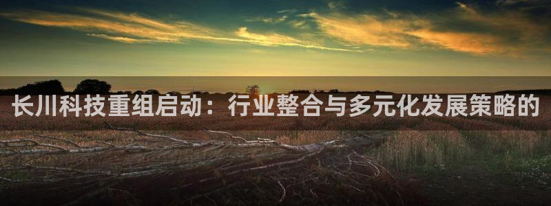 长川科技重组启动：行业整合与多元化发展策略的