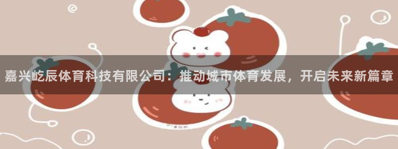嘉兴屹辰体育科技有限公司：推动城市体育发展，开启未来新篇章