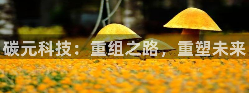 碳元科技：重组之路，重塑未来