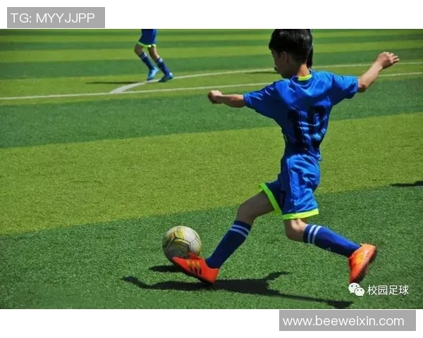 聚焦厉害足球星的辉煌瞬间与背后奋斗故事全景展现