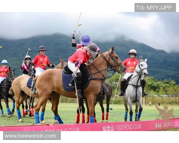 足球明星拼接壁纸集合展现顶级球员风采与精彩瞬间让你沉浸绿茵场魅力