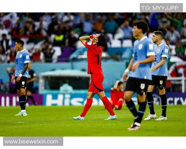 乌拉圭足球新生代崛起 引领未来之星的光辉之路