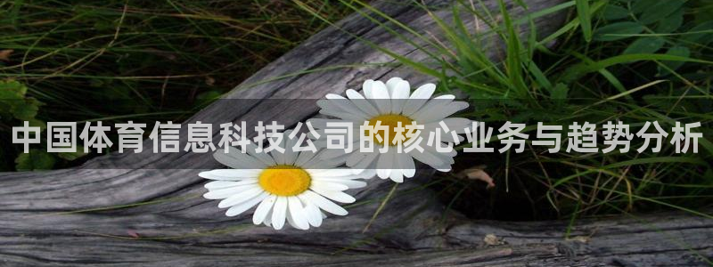 中国体育信息科技公司的核心业务与趋势分析
