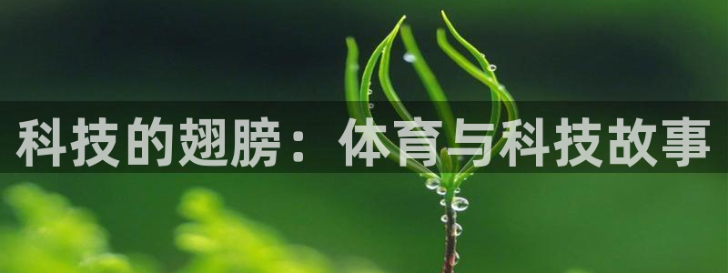科技的翅膀：体育与科技故事